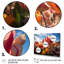 «Danemark Multicolor Tulip Fields III», reproduction sur toile-349445368-349445313