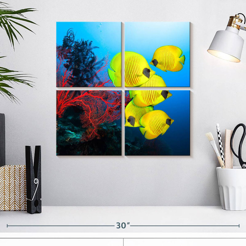 Coral Reef Fish