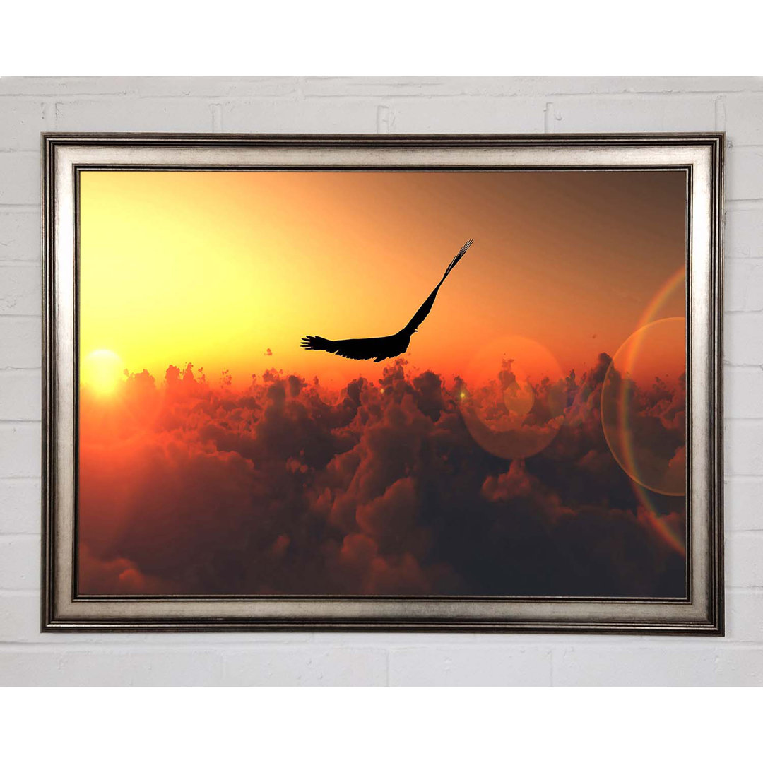 Gerahmtes Poster Eagle Flying In The Burnt Orange Sky