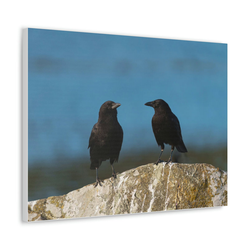 No Frame Print on Canvas, 30.48cm H x 40.64cm W
