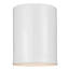 Cylinders 1 - Light Outdoor Flush Mount-1489498192-1489498156-1524972279