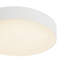 Rynn 5-in Black dimmable LED Flush Mount-1526963964