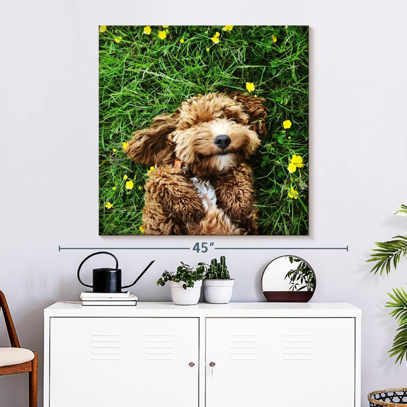 Crowle Happy Cockapoo Dog, 33" H x 33" W