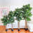 Faux Fiddle Leaf Fig Tree in Pot-1108794076