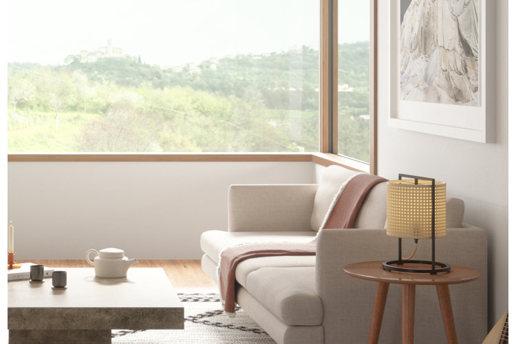 Living room with a shallow sofa.