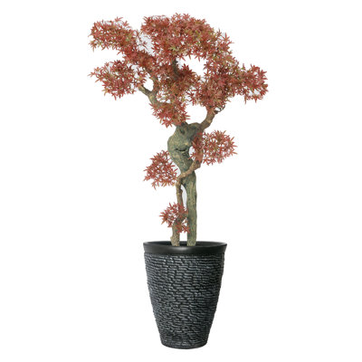 Plante à bonsaï 54 "H-touch