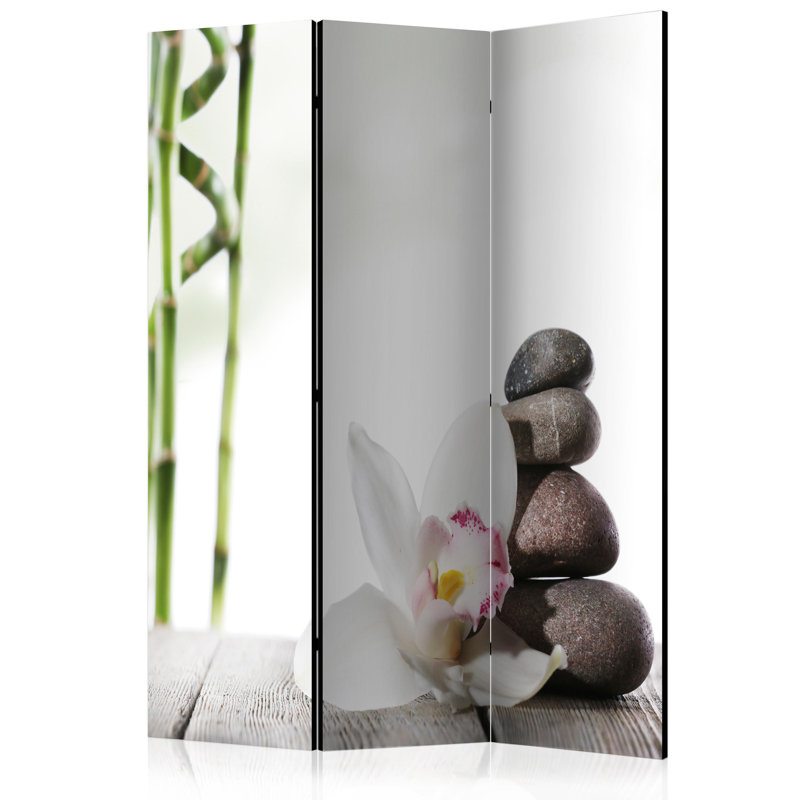 Cloey Folding Room Divider, 3