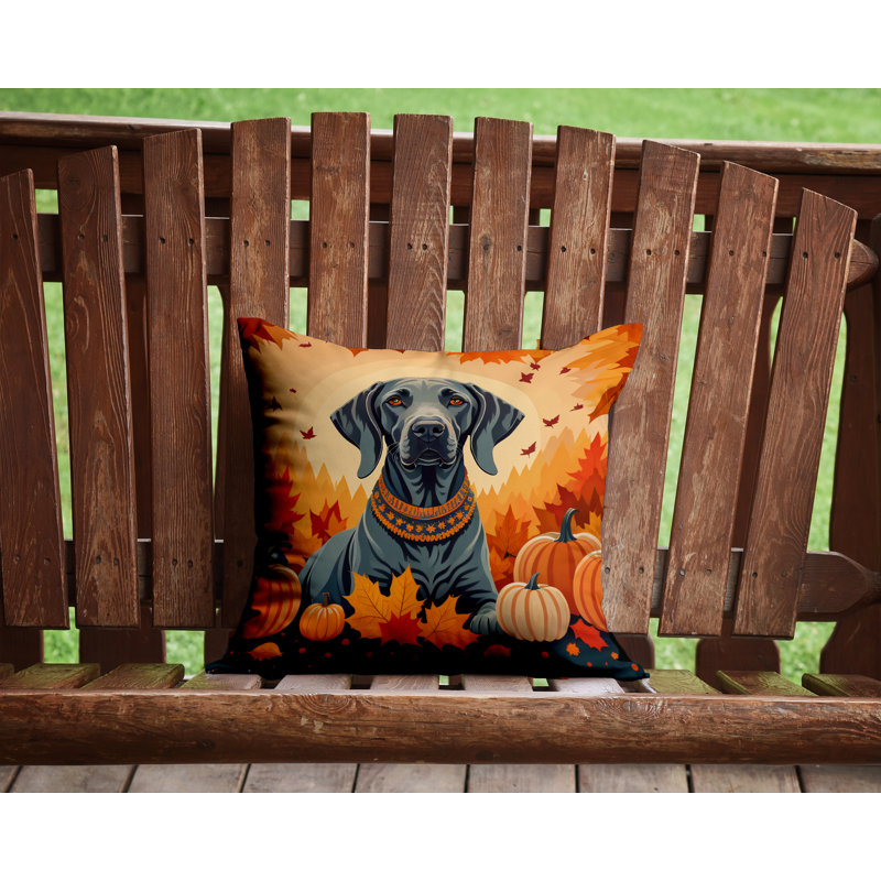 Coussin décoratif Weimaraner, 14 po x 14 po