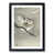 Black Framed selected