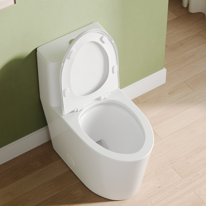 Toilette allongée monobloc Deervalley