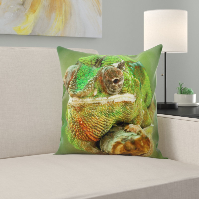 Coussin en jeté chameleon