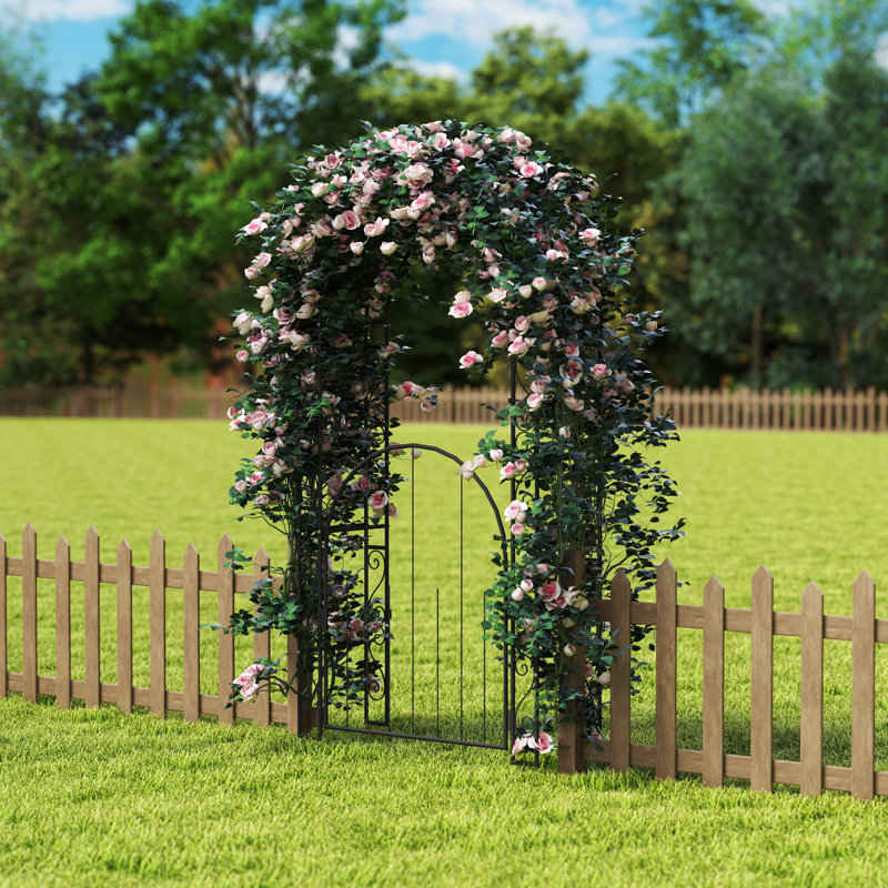 Arche de jardin en métal, pergola en fer forgé, portail décoratif pour plantes grimpantes d'extérieur, rosiers, vignes, mariages, entrée de patio