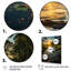 «USA Everglades National Park Florida», reproduction d'art sur toile-151326954-151326953