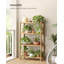 60cm W Bamboo / Rattan Shelving Unit
