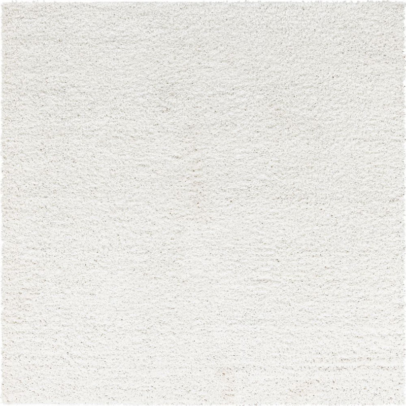Carlosadrian Oriental Indoor Rug, Square 8'