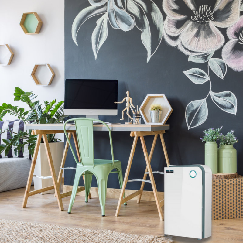 Purificateur d'air Spartan avec filtre HEPA
