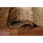 Brown/ Gold Abstract Area Rug