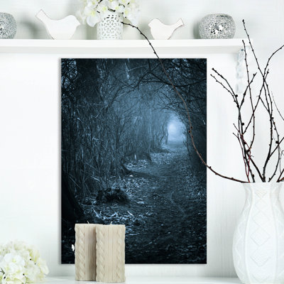 « dark passage » par forest», reproduction de photo sur toile tendue paysages