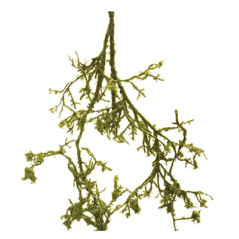 Mossy Twig Branch Vine