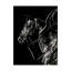 «Scratchboard Rodeo V» par Julie T. Chapman - reproduction d'art graphique sur toile-1210964018