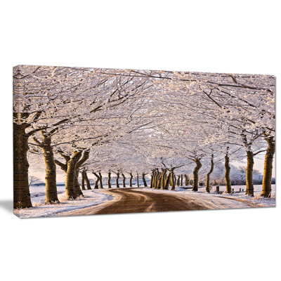" Trees And Road In White Winter "