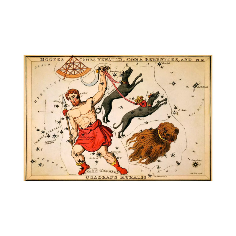 Boots, Canes Venatici, Coma Berenices, and Quadrans Muralis 1 Piece Wrapped Canvas Painting