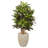 42'' Faux Croton Plant in Ceramic Planter