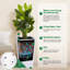 Pot Planter