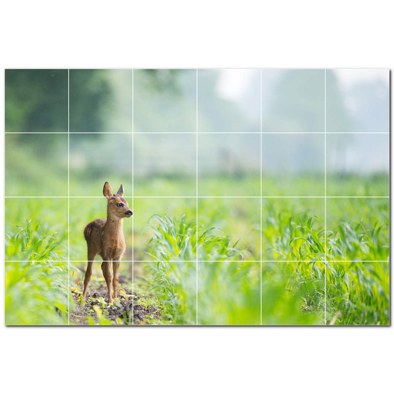 Cerf photo 12 x 12