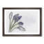 Grape Hyacinth Flower in Abstract - Picture Frame Graphic Art Print-55735467-55735471