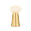 Cashel Rechargeable Table Lamp in Aged Brass