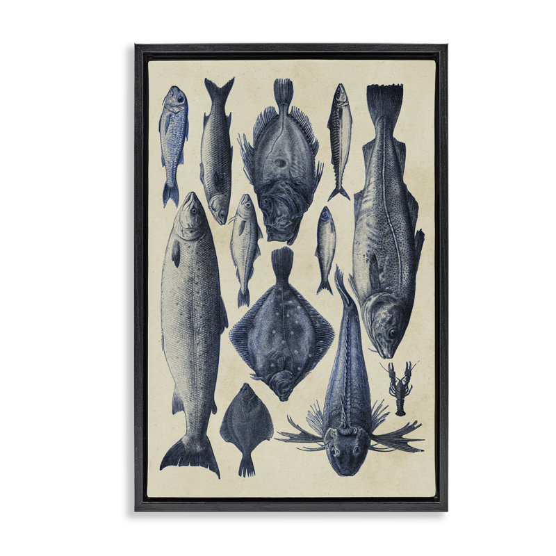 Cadre flottant Traditional, Cadre flottant noir de jais, H 25 po x l 17 po