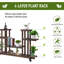 Shropshire Wood Plant Stand