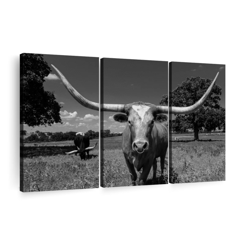 Animal «Majestic Texas Longhorn», reproduction sur toile, H 36 po x l 57 po x P 1,25 po