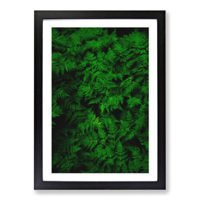 Fern Leaves Vol.3 - Framed Print