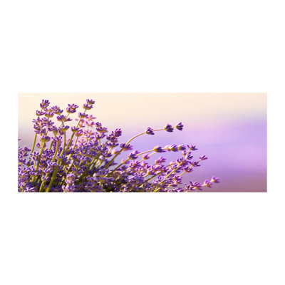 Lavender - No Frame Print