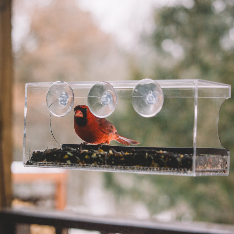 Mangeoire à oiseaux Shenna