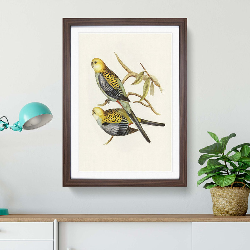 Pale Headed Parakeets by Elizabeth Gould - Picture Frame Painting Print, 36cm H x 27cm W x 2cm D, Walnut Framed