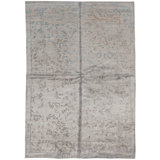 Neo Oriental Area Rug in Light Blue