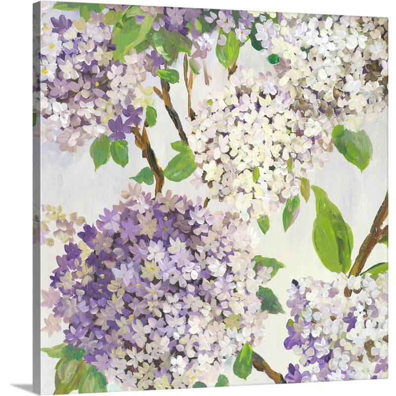"Summer Hydrangea I" par Asia Jensen, reproduction d’art sur toile, Toile tendue, H 24 po x l 24 po x P 1,25 po