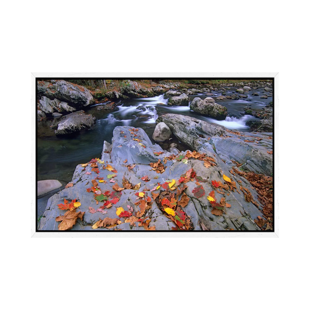 Little Pigeon River, Great Smoky Mountains National Park, Tennessee von Tim Fitzharris - Gallery-Wrapped Canvas Giclée o...