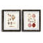 Toile encadrée Shell Collection VP Remium - prête à être accrochée-558366131-558123106-558123113