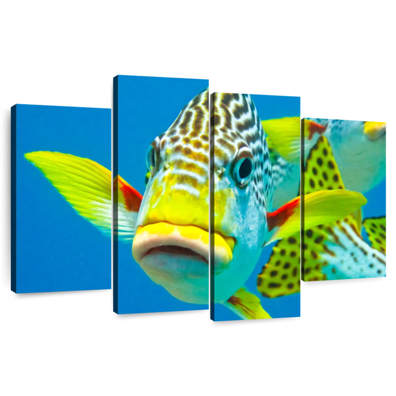 Brampt Sweetlips Close Up, 54" H x 84" W