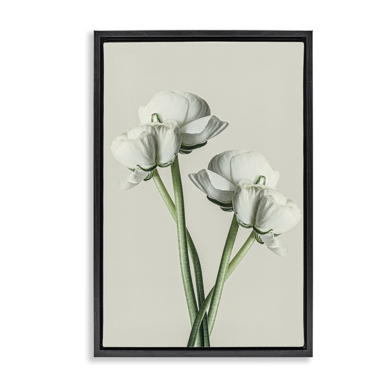 Toile flottante encadrée "White Flower" par Incado, H 25 po x l 17 po, Cadre flottant noir de jais