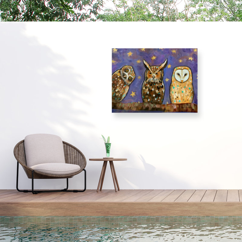 Toile d'extérieur Karrie Evenson Night Owls, H 14 po x l 19 po