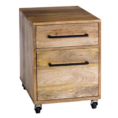 Colvin 2-Drawers Mobile Vertical File