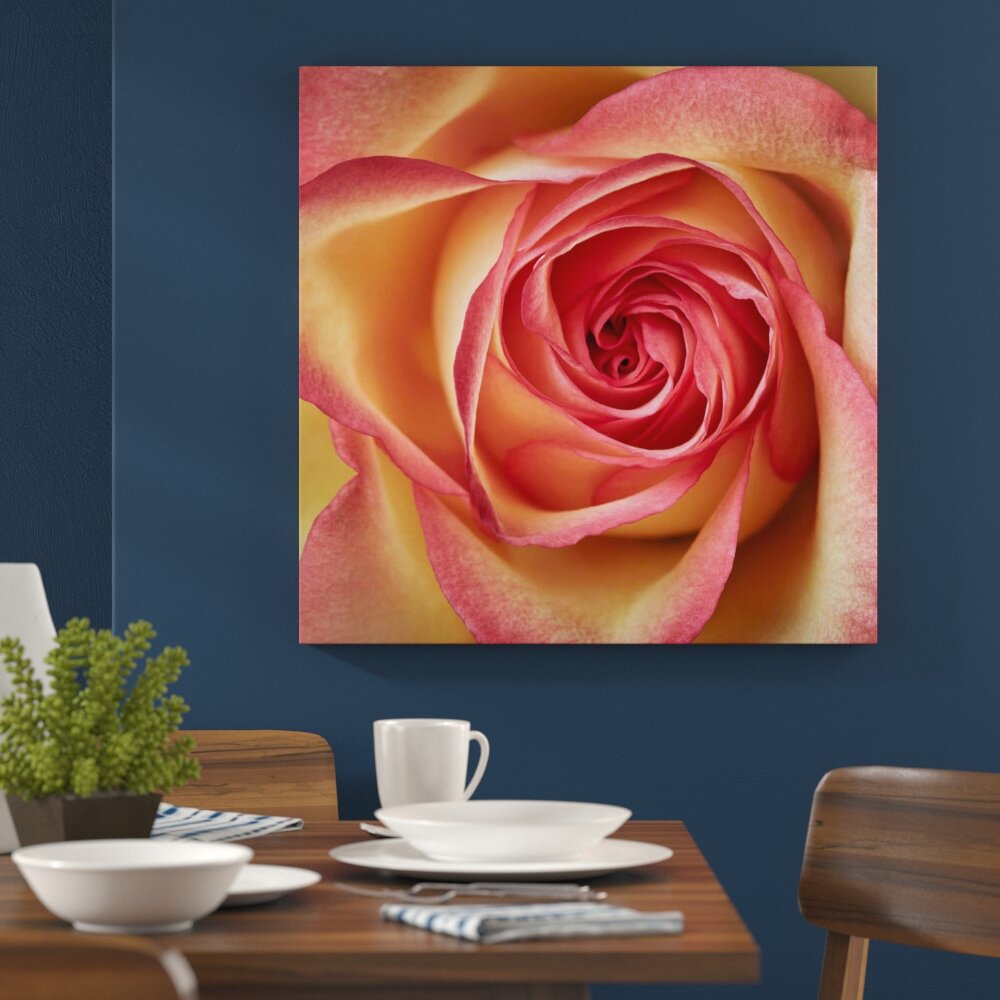 Leinwandbild Pinke Rose – Nahaufnahme