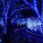 Devondra 42.7' LED Solar Powered 100 - Bulb String Lights-1005809496