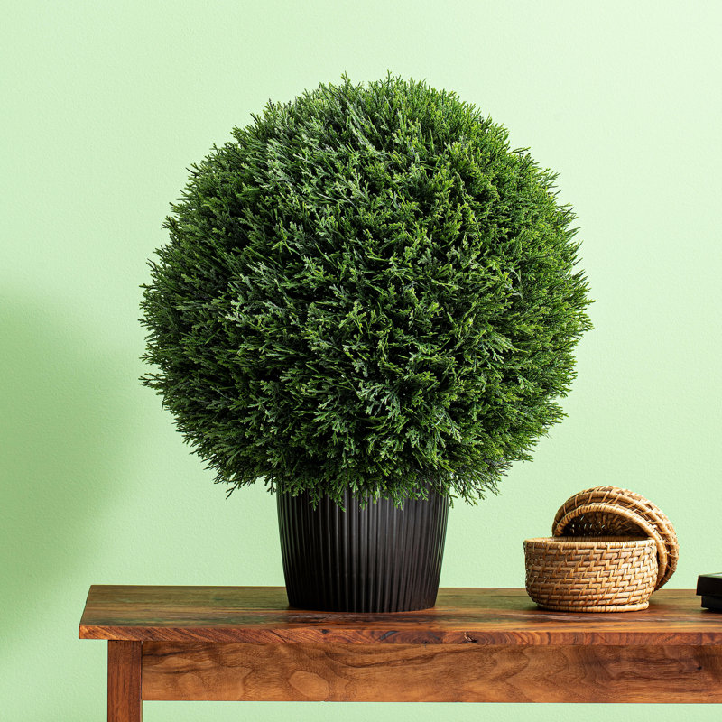 Boule de cèdre vert artificiel Vickerman, H 24 po x l 24 po x P 24 po