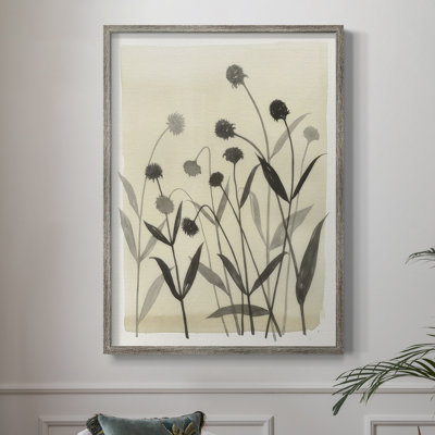 Summer Echinachea II Framed Print - Solid Wood